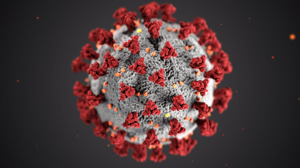 Five Ways to Boost Your Immunity To Fight Coronavirus