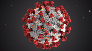 Five Ways to Boost Your Immunity To Fight Coronavirus